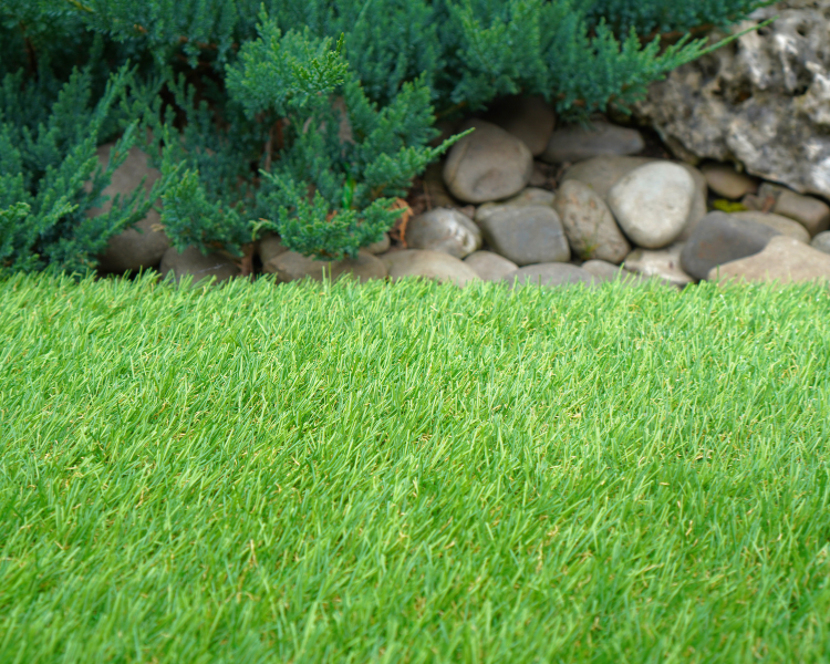 green turf freshly installed